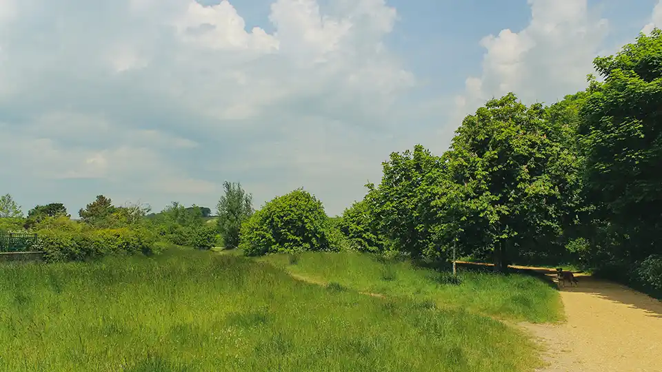 Photograph of a British park.