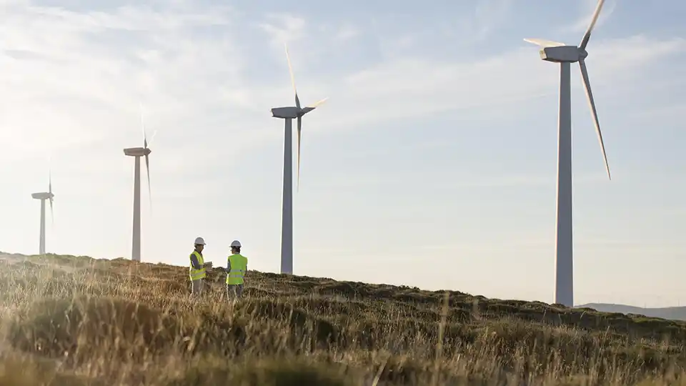 Workers standing amongst wind-turbines.